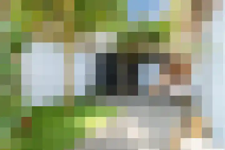 Koninginnelaan 32 A Soest thumbnail 37