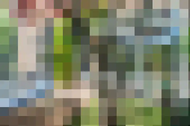 Koninginnelaan 32 A Soest thumbnail 40
