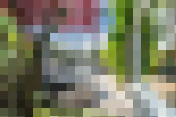 Koninginnelaan 32 A Soest thumbnail 41