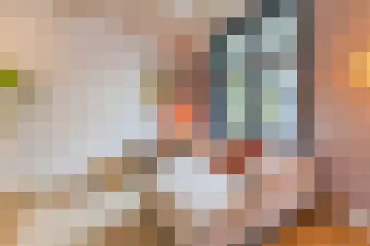 Koninginnelaan 32 A Soest thumbnail 5