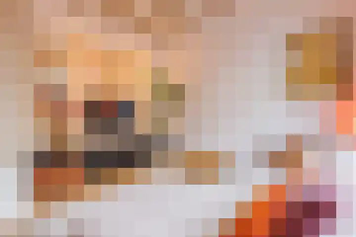 Koninginnelaan 32 A Soest thumbnail 6