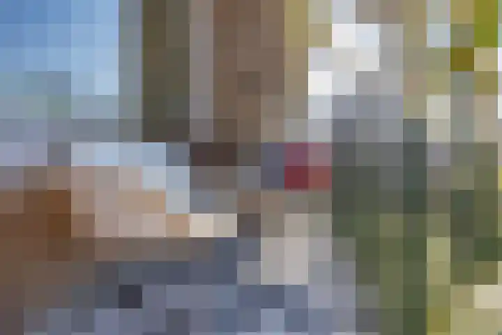 Koninginnelaan 32 Rijswijk thumbnail 11