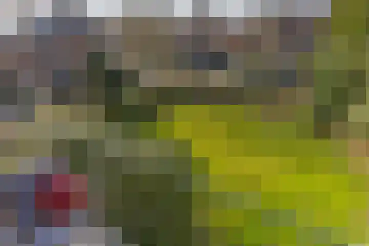 Koninginnelaan 32 Rijswijk thumbnail 12