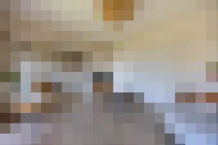 Koninginnelaan 32 Rijswijk thumbnail 13