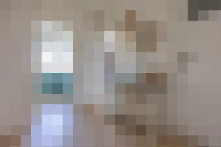 Koninginnelaan 32 Rijswijk thumbnail 16