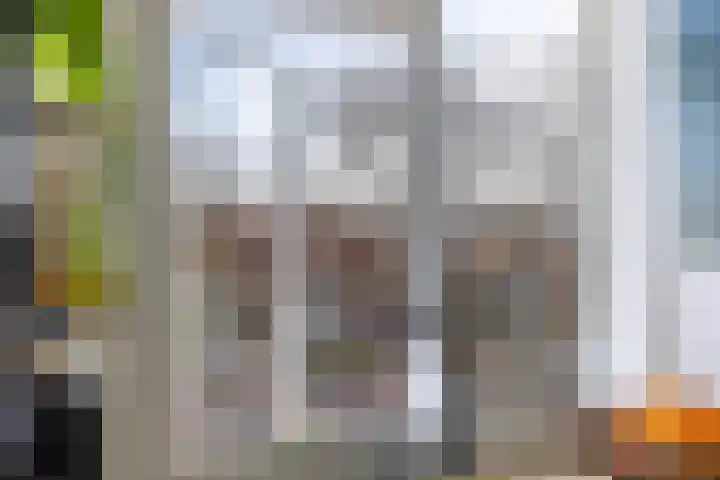 Koninginnelaan 32 Rijswijk thumbnail 19