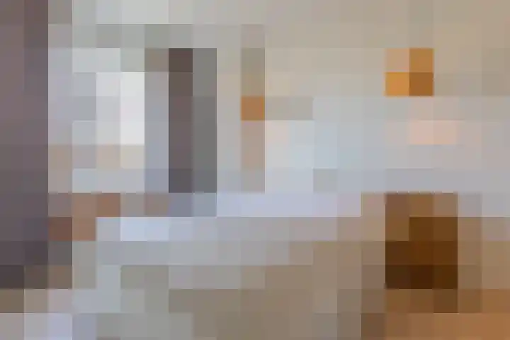 Koninginnelaan 32 Rijswijk thumbnail 20
