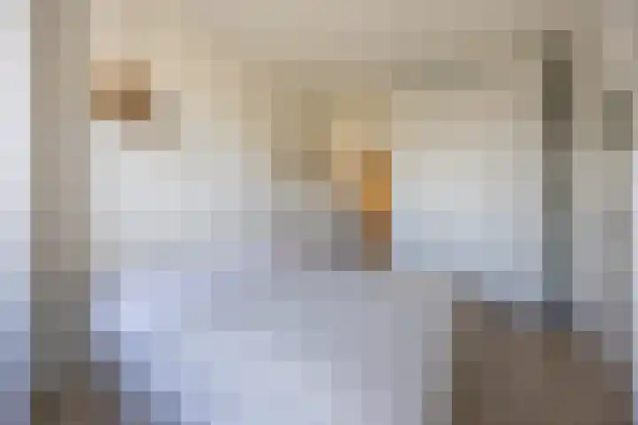 Koninginnelaan 32 Rijswijk thumbnail 22