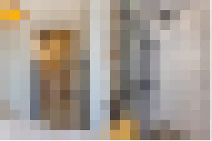 Koninginnelaan 32 Rijswijk thumbnail 24