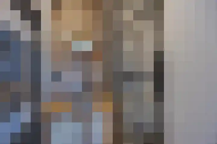 Koninginnelaan 32 Rijswijk thumbnail 25