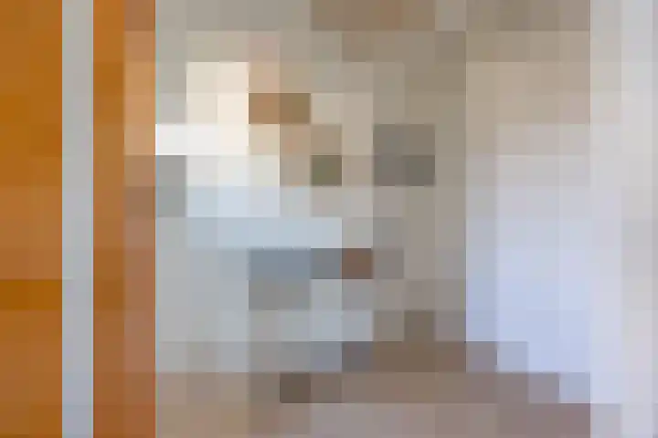Koninginnelaan 32 Rijswijk thumbnail 27