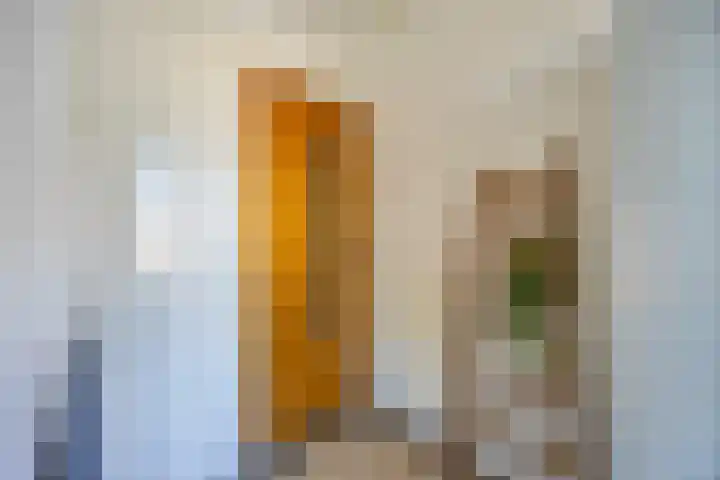 Koninginnelaan 32 Rijswijk thumbnail 28