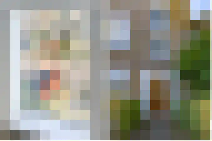 Koninginnelaan 32 Rijswijk thumbnail 29