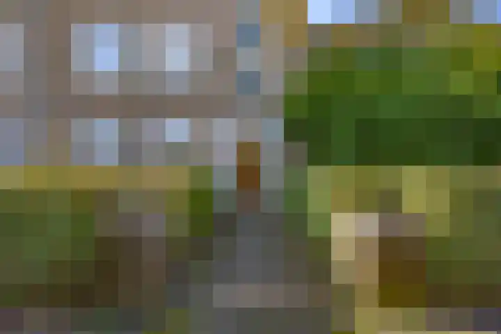 Koninginnelaan 32 Rijswijk thumbnail 30