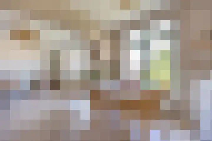 Koninginnelaan 32 Rijswijk thumbnail 4