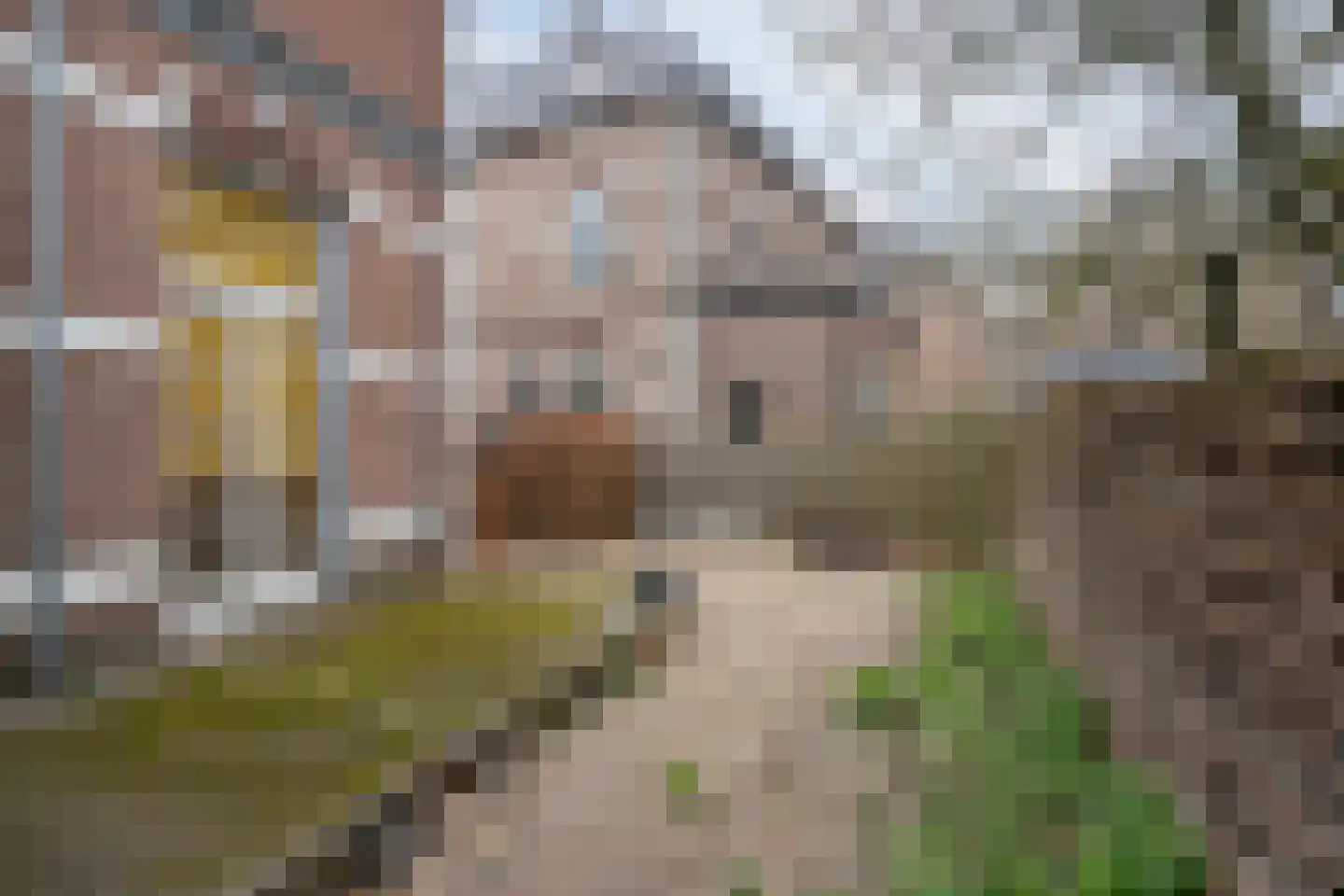 Koninginnelaan 33 Apeldoorn thumbnail 37