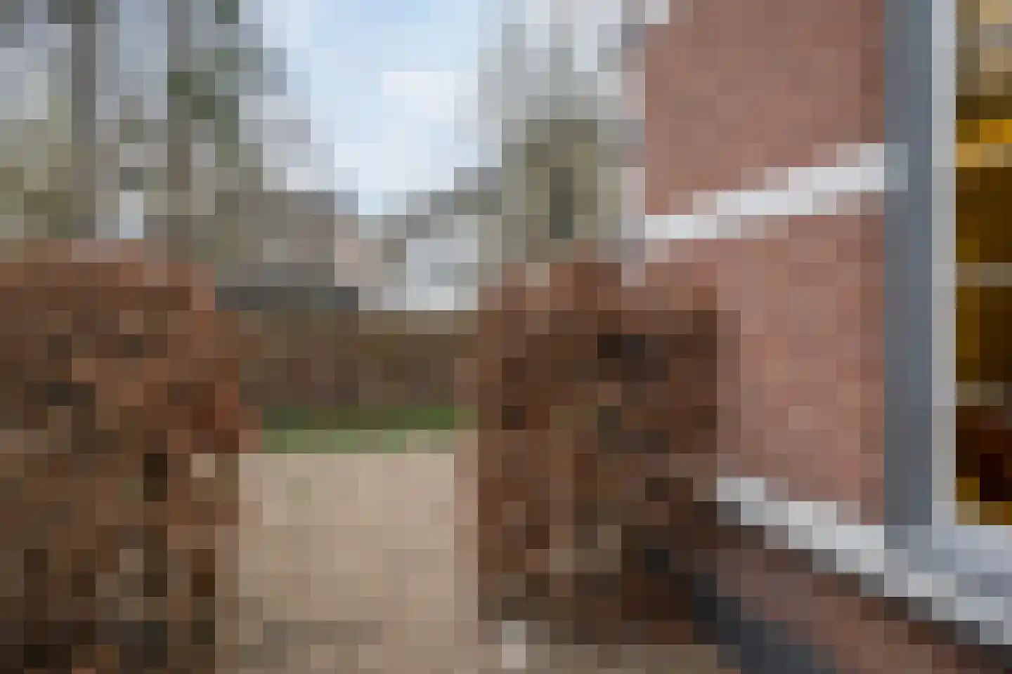 Koninginnelaan 33 Apeldoorn thumbnail 38