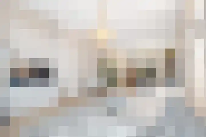 Koninginnelaan 34 Voorburg thumbnail 12