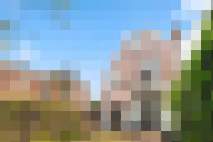 Koninginnelaan 34 Voorburg thumbnail 17
