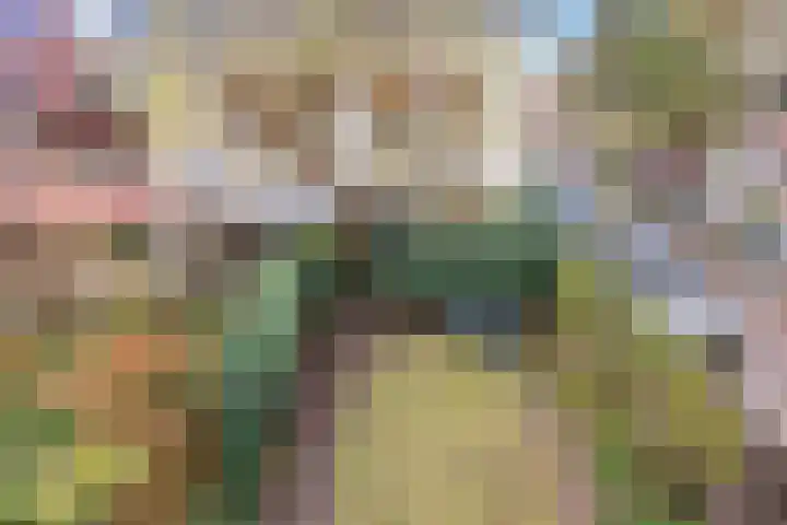 Koninginnelaan 34 Voorburg thumbnail 30