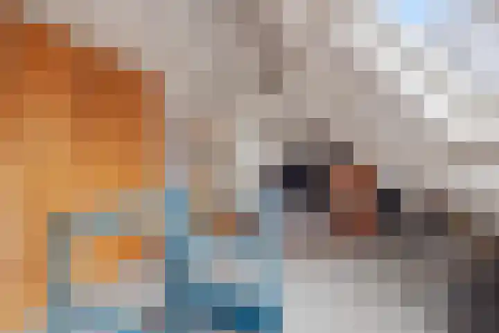 Koninginnelaan 34 Voorburg thumbnail 35