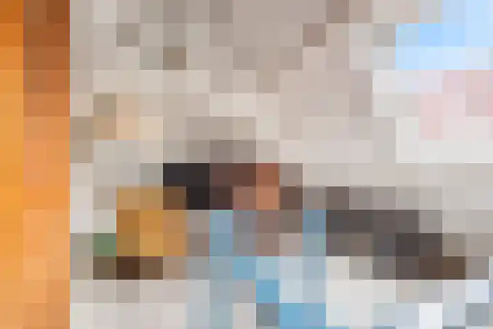 Koninginnelaan 34 Voorburg thumbnail 36