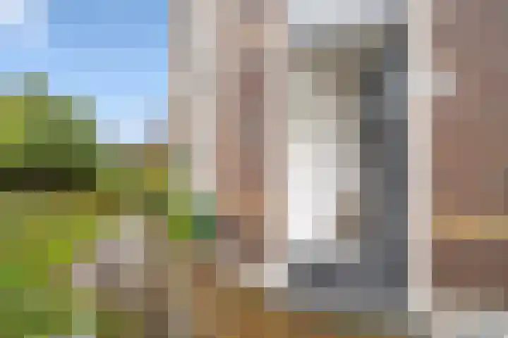 Koninginnelaan 34 Voorburg thumbnail 6