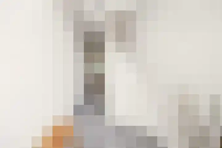 Koninginnelaan 34 Voorburg thumbnail 7