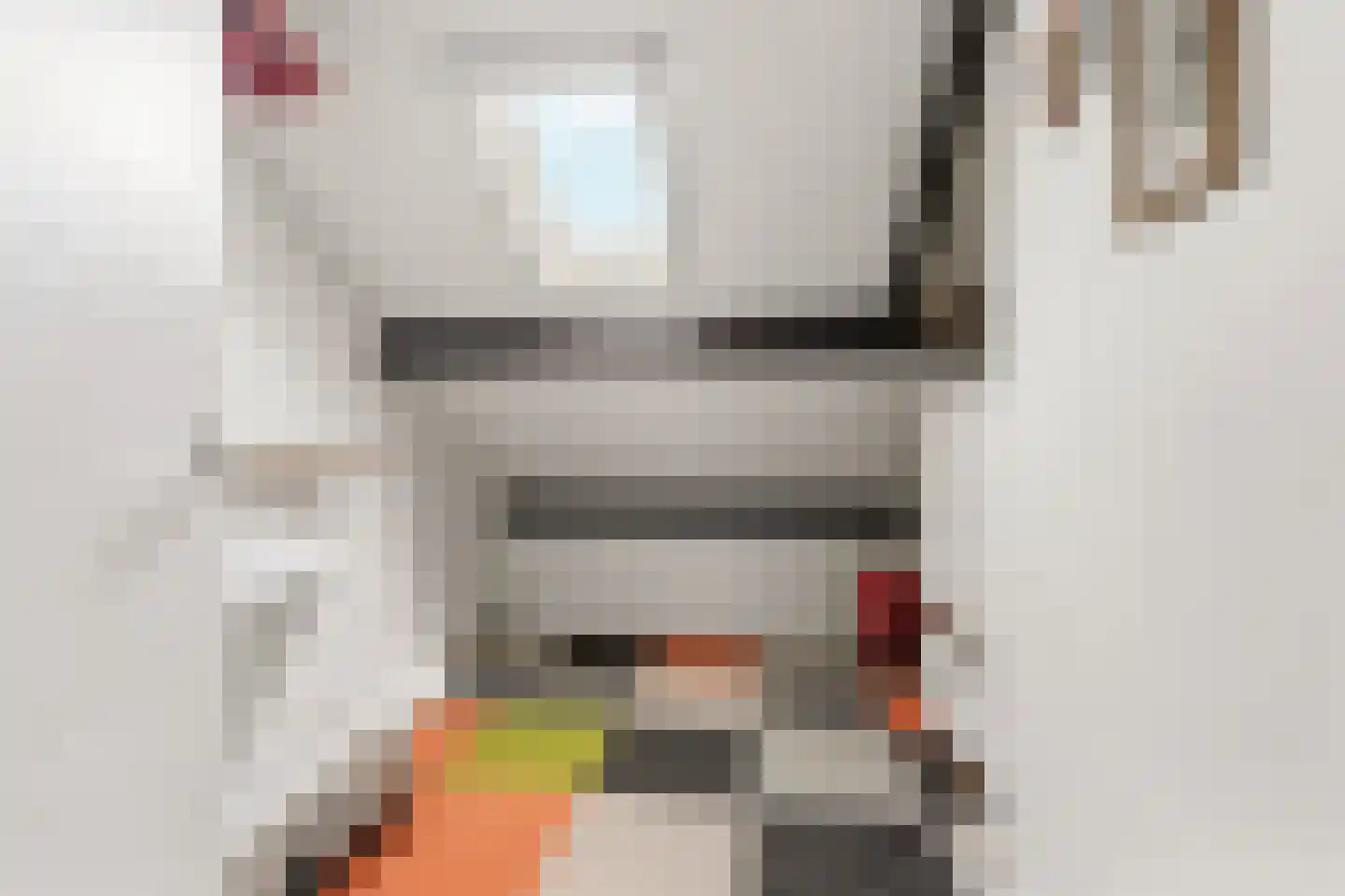 Koninginnelaan 36 Sint-Oedenrode thumbnail 38