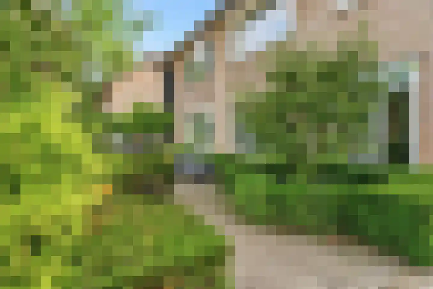 Koninginnelaan 36 Sint-Oedenrode thumbnail 47