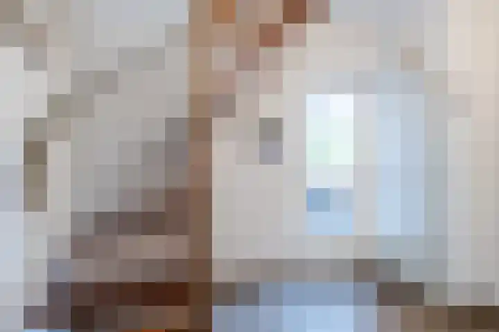 Koninginnelaan 40 Sint-Oedenrode thumbnail 13