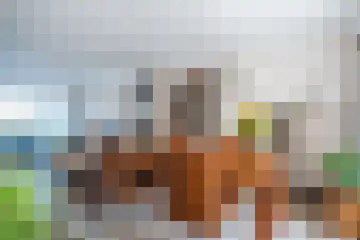 Koninginnelaan 40 Sint-Oedenrode thumbnail 20