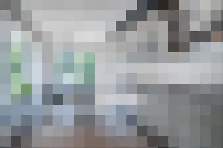 Koninginnelaan 40 Sint-Oedenrode thumbnail 4