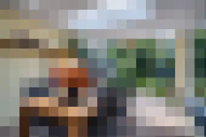 Koninginnelaan 40 Sint-Oedenrode thumbnail 47