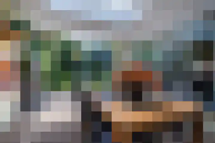 Koninginnelaan 40 Sint-Oedenrode thumbnail 48