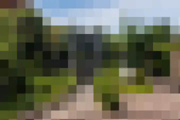Koninginnelaan 40 Sint-Oedenrode thumbnail 50