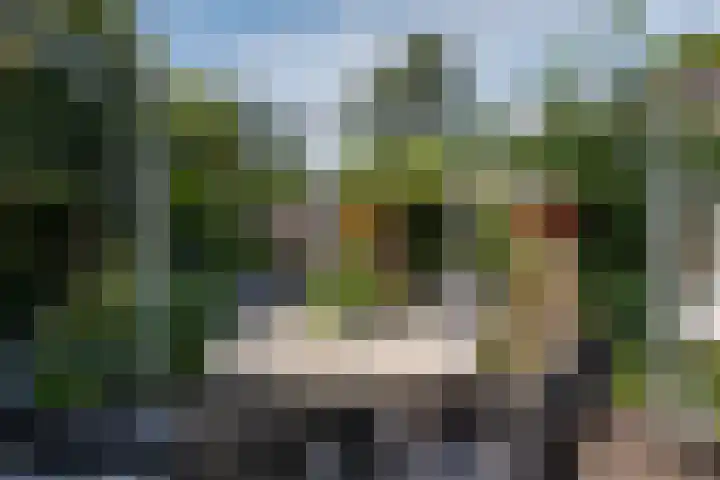 Koninginnelaan 40 Sint-Oedenrode thumbnail 52