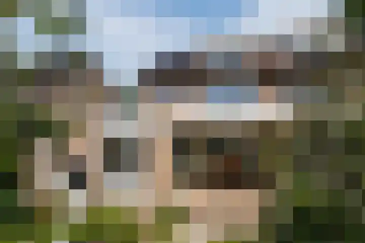 Koninginnelaan 40 Sint-Oedenrode thumbnail 54