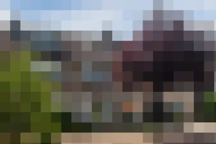 Koninginnelaan 40 Sint-Oedenrode thumbnail 55