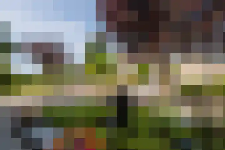 Koninginnelaan 40 Sint-Oedenrode thumbnail 56