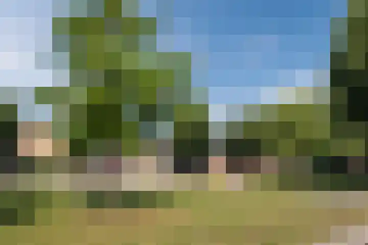 Koninginnelaan 40 Sint-Oedenrode thumbnail 58