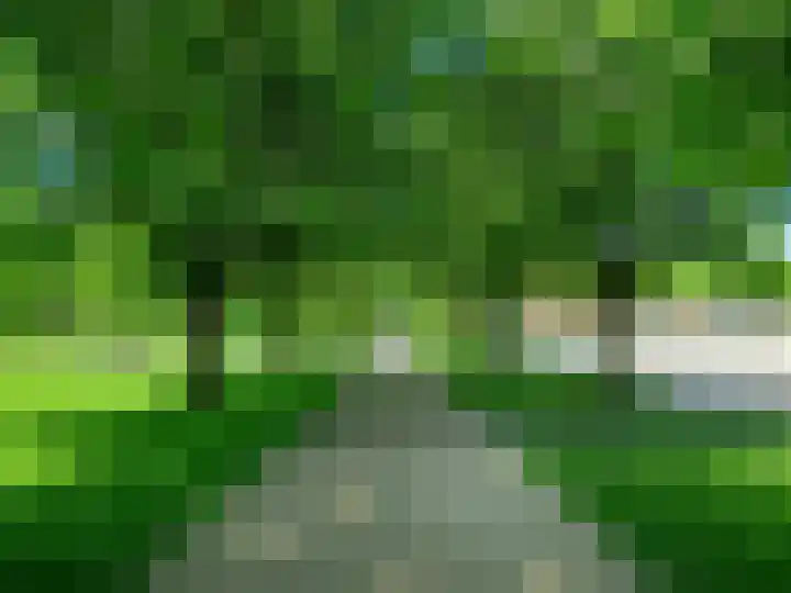 Koninginnelaan 40 Sint-Oedenrode thumbnail 61