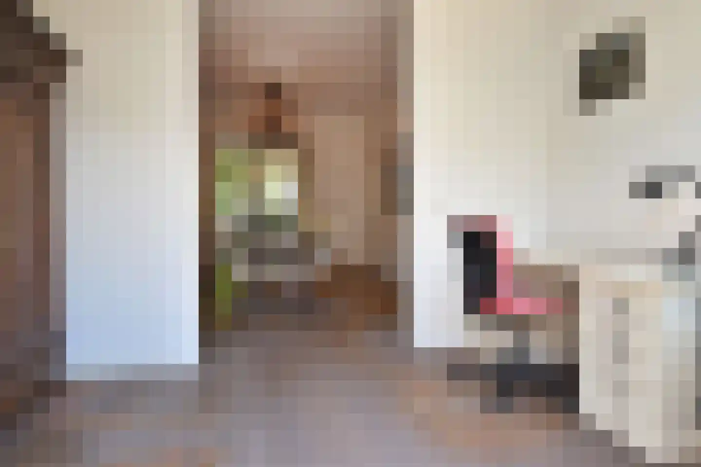 Koninginnelaan 48 Voorburg thumbnail 18