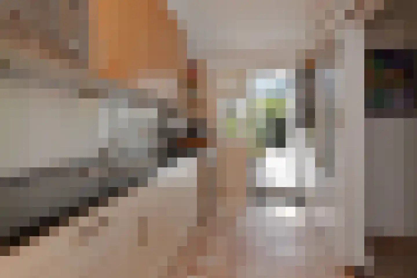 Koninginnelaan 48 Voorburg thumbnail 23