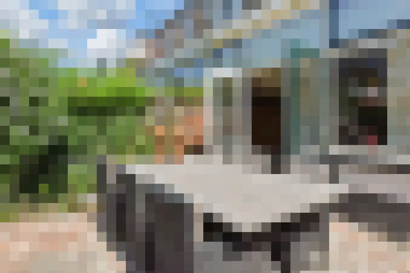 Koninginnelaan 48 Voorburg thumbnail 25