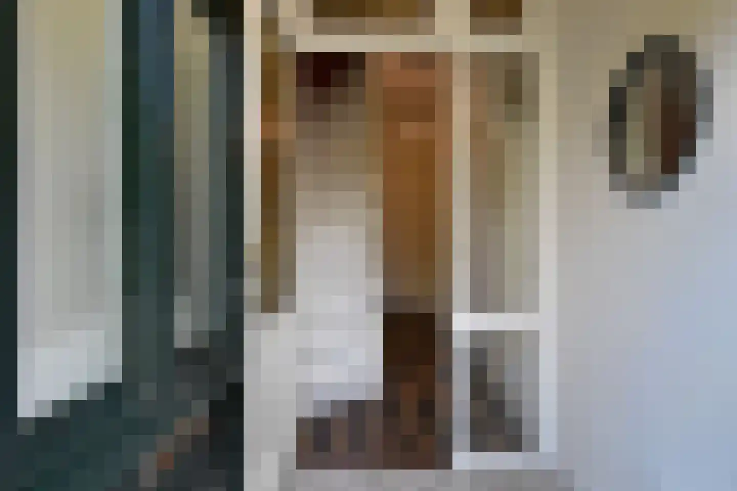 Koninginnelaan 48 Voorburg thumbnail 8