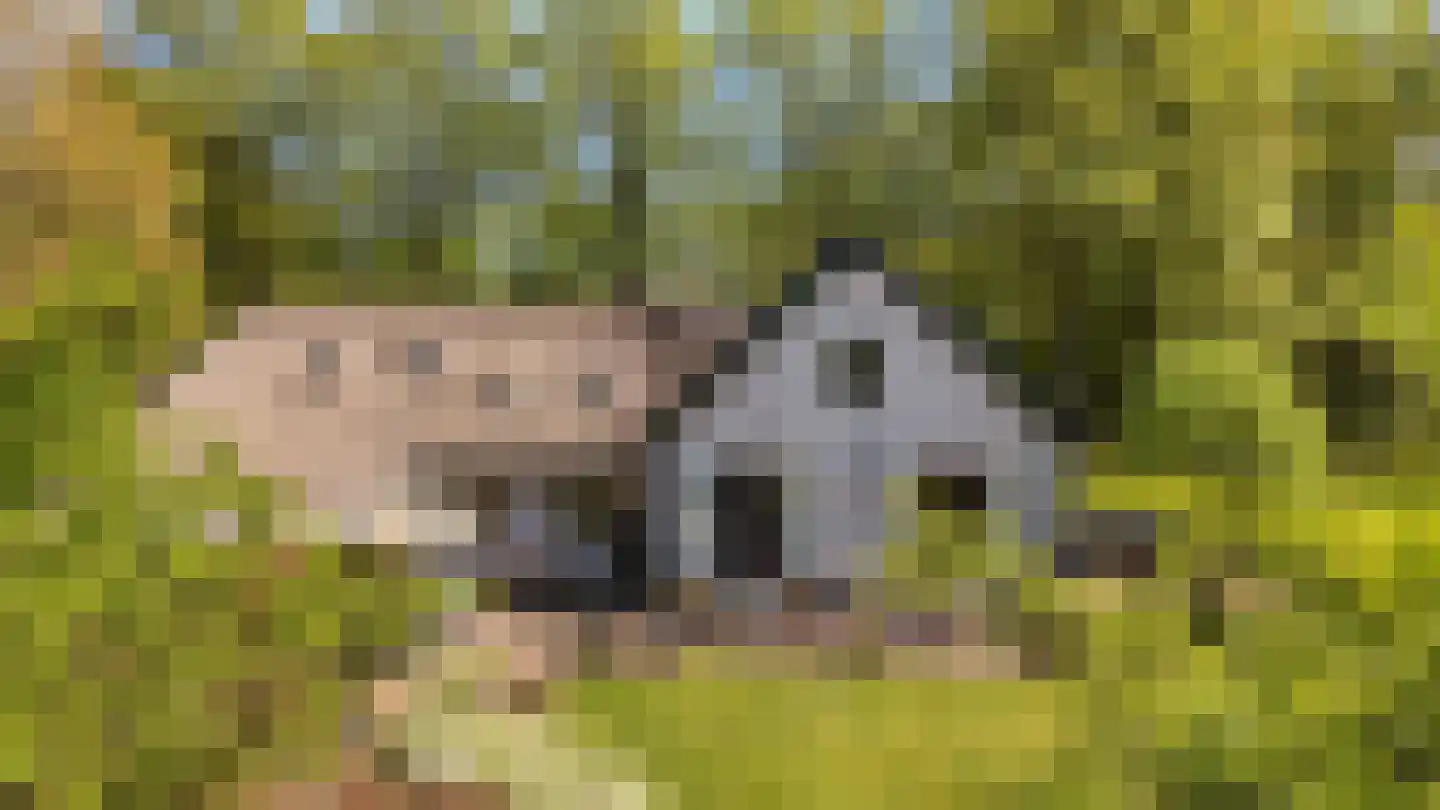 Koninginnelaan 5 Heelsum