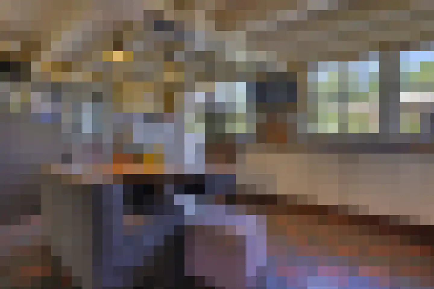 Koninginnelaan 5 Heelsum thumbnail 16