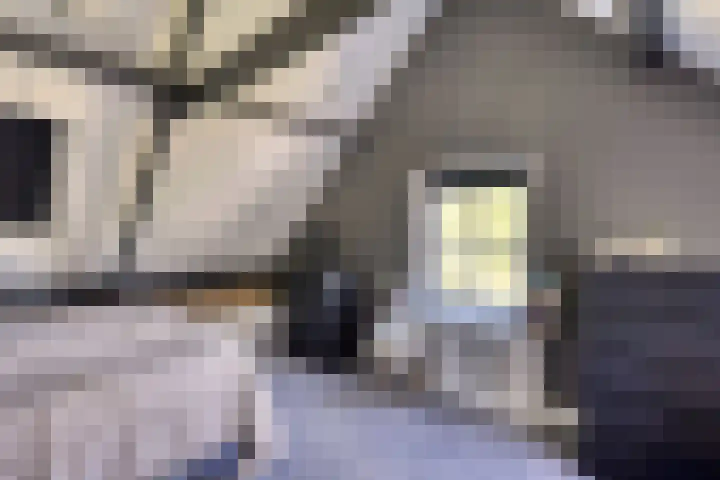 Koninginnelaan 5 Heelsum thumbnail 30