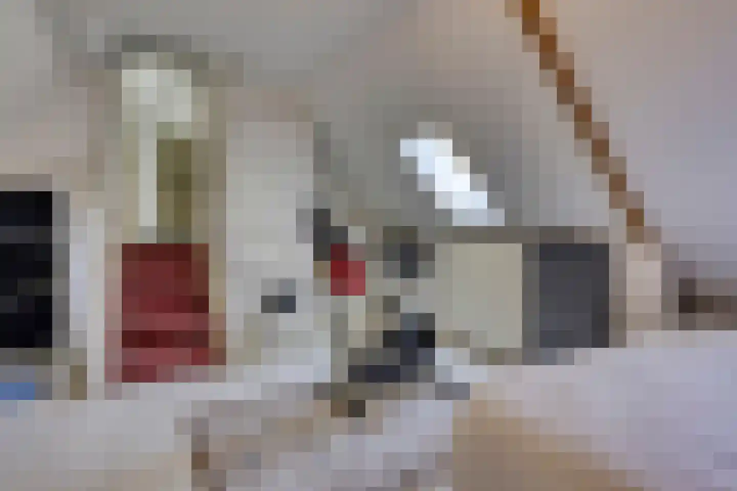 Koninginnelaan 5 Heelsum thumbnail 33